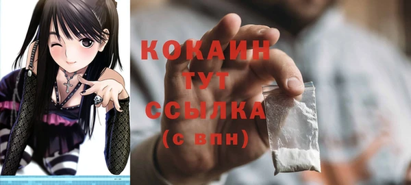 шишки Белоозёрский