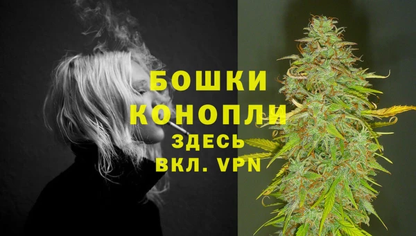 шишки Белоозёрский