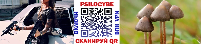 Псилоцибиновые грибы Magic Shrooms  Кстово 